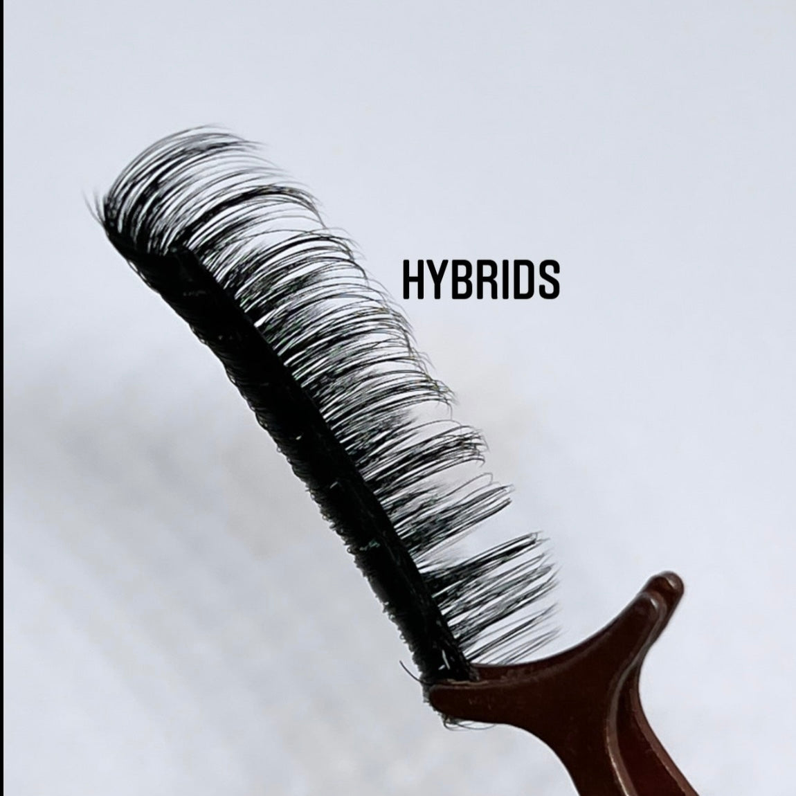 Hybrids Lashes